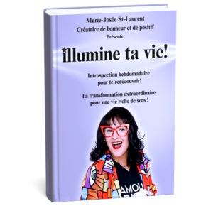 2167cbb-ed22-d058-63cd-0e8153cd51f_Illumine_ta_vie_-_Cover_mockup_02_ 